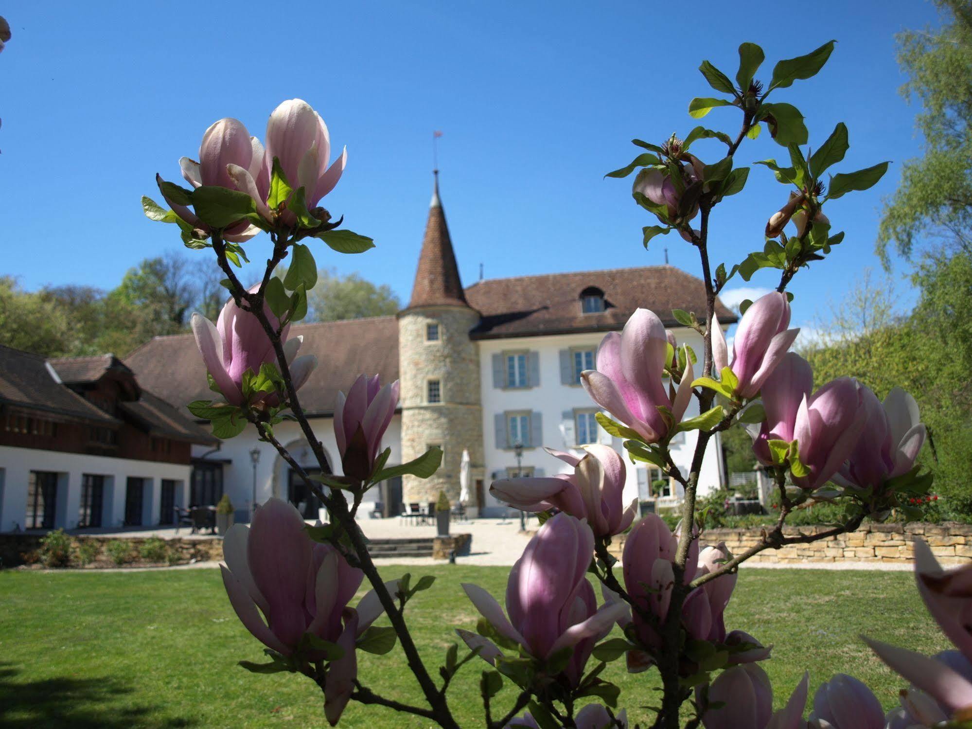Chateau Salavaux Vully-les-Lacs Экстерьер фото